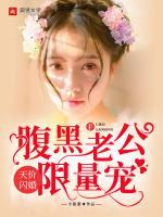 天价闪婚:腹黑老公,限量宠