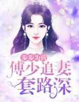 步步为营傅少追妻套路深小说
