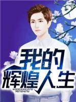 我的辉煌人生小说