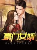 电视连续剧豪门女婿