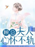 顾总,夫人心怀不轨免费阅读