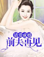错爱成婚:前夫,再见