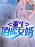 重生女婿 夜尘