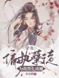 穿书:偏执孽徒为我黑化成魔