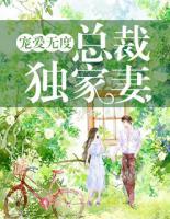 宠爱无度:总裁独家妻