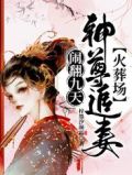 闹翻九天!神尊追妻火葬场