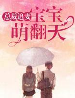 总裁追妻:宝宝萌翻天
