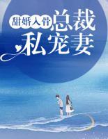 甜婚入骨:总裁私宠妻