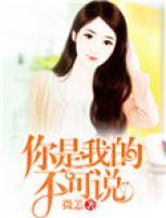 你是我的不可能歌词是什么意思