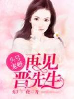 头号婚宠:晋先生,再见