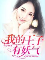我的王子系列游戏