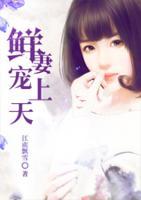 鲜妻宠上天txt