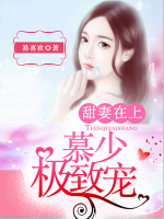 甜妻在上:慕少,极致宠