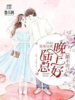 婚不由己:陆总晚上好!