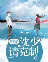 婚宠:沈少请克制