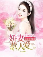 总裁boss独宠小娇妻