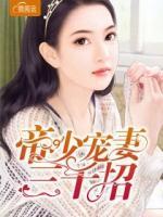 帝少宠妻100式