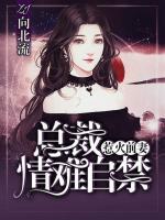 惹火前妻:总裁情难自禁