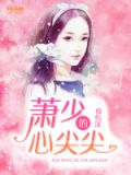 一夜情深:萧少的心尖尖全文免费阅读
