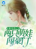 婚非得已:两只萌娃闯豪门
