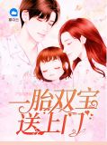 一胎双宝苏浅,免费阅读