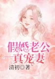 假婚老公真宠妻