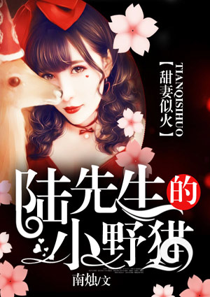 甜妻似火:陆先生的小野猫