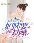 腹黑天才宝宝:爹地,妈咪要劫婚