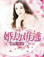 婚劫难逃向先生别来无恙免费阅读
