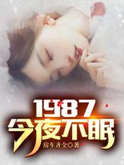 小说1987:今夜不眠