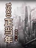 类似1980正当年的小说