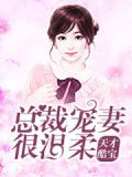 天才酷宝:总裁宠妻很温柔