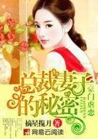 豪门虐恋:总裁妻子的秘密