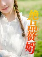 绝品赘婿出山25集视频全集