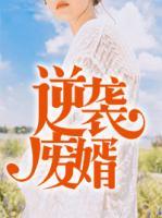 逆袭废婿全本免费