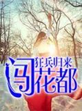 狂帝归来在花都