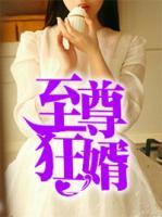 至尊狂婿林阳
