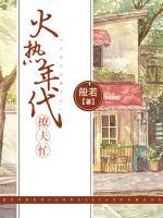 热火年代小说