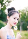 恰似昨夜爱归来 小说