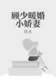 顾少的暧婚新妻