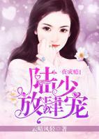 一夜成瘾 小说