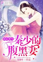 影后重生:秦少的腹黑妻