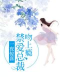 一夜惊喜禁爱总裁放肆宠郁Z寒小说