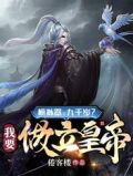 模拟器:九千岁?我要做立皇帝!