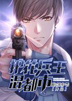 护花兵王混都市 小说