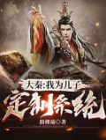大秦:我为儿子定制系统