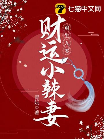 重生九零财运小辣妻全文阅读
