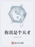 你真是个天才小说
