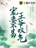 宠妻不易,王爷叹气