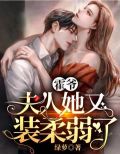 霍爷,夫人她马甲又扒了